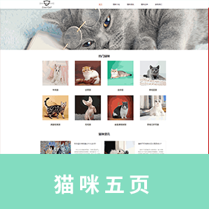 【精品】猫咪网站5页
