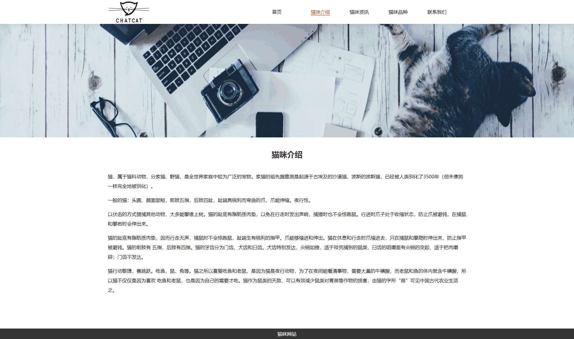 可爱猫咪网页模板