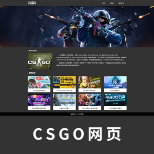 【精品】CSGO三页