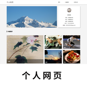 【个人类】个人网页三页2