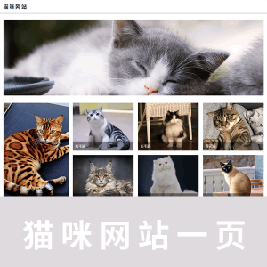 【html+css】一页猫咪网站代码带注释
